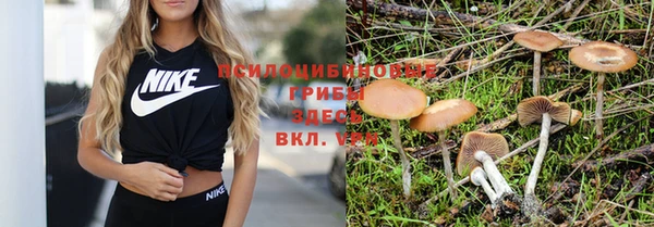 амфетамин Абдулино